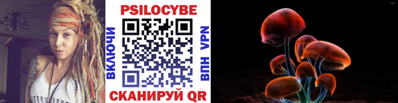 дарнет шоп KRAKEN ССЫЛКА Галлюциногенные грибы прущие грибы Николаевск-на-Амуре
